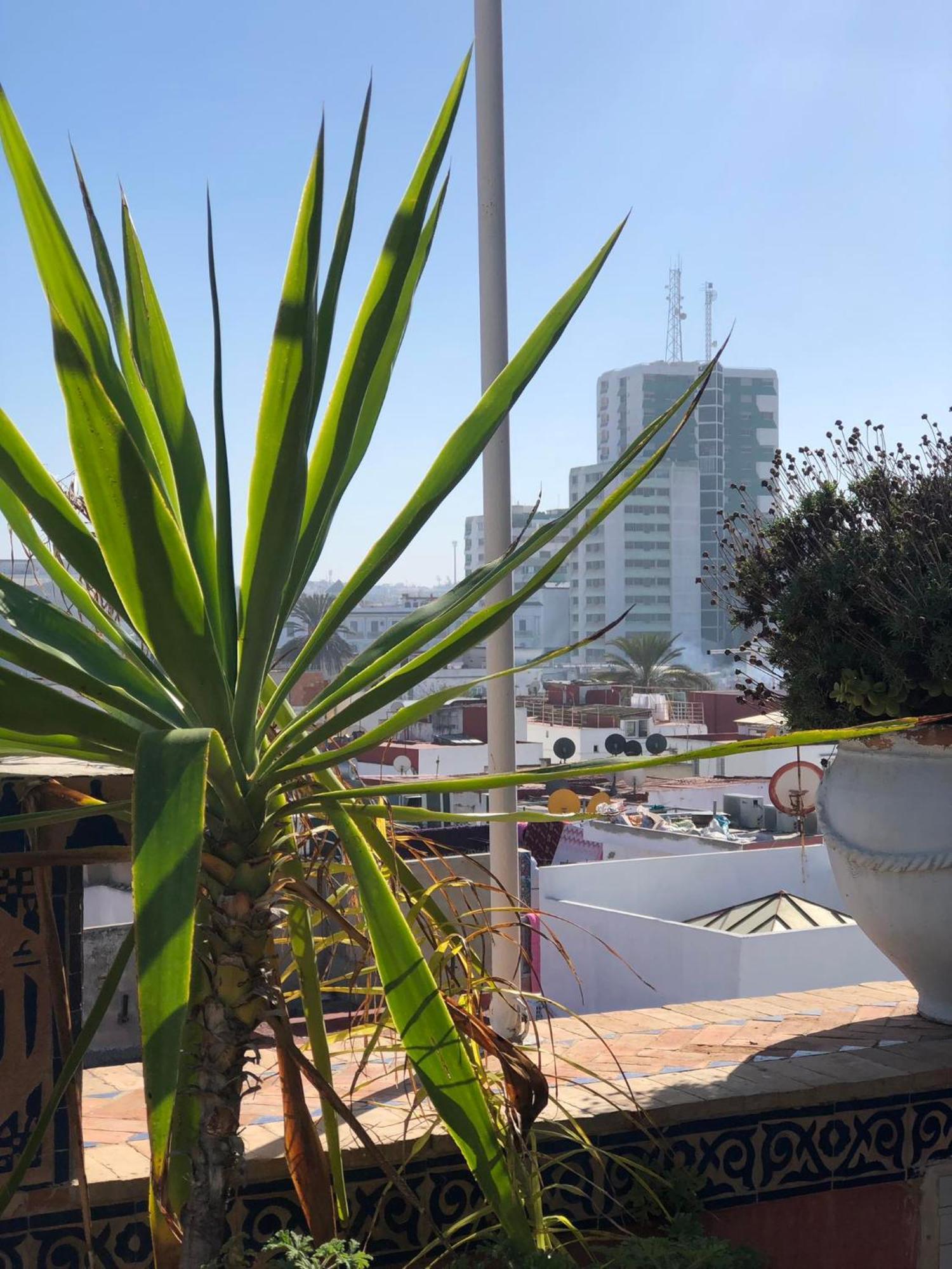 Riad Razoli Sidi Fateh Rabat Exterior foto