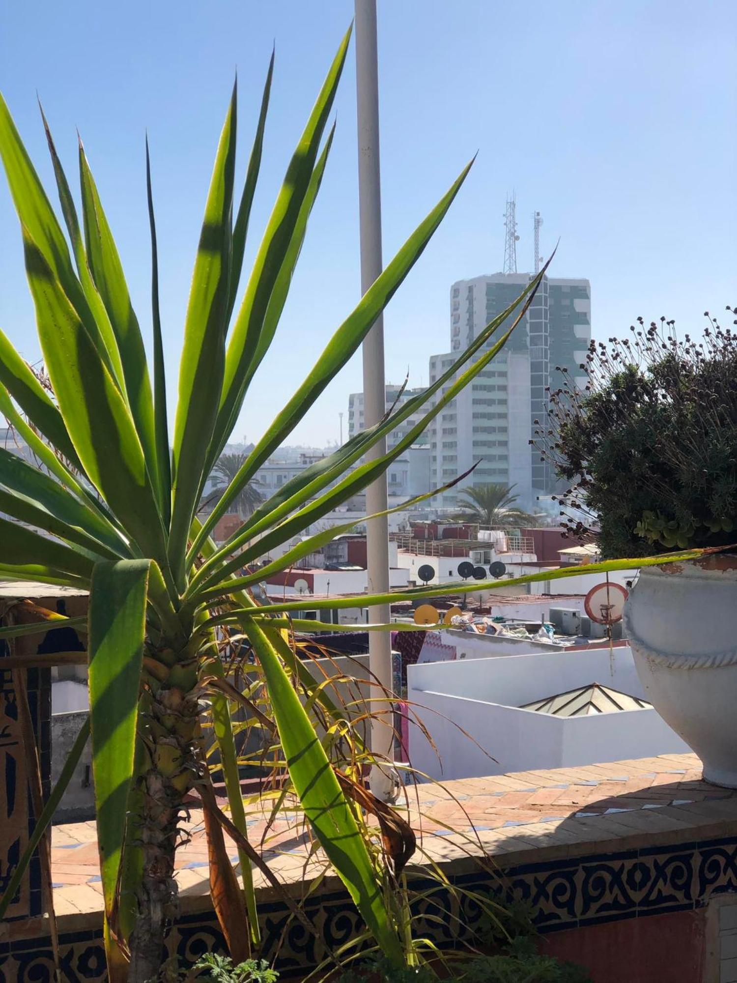 Riad Razoli Sidi Fateh Rabat Exterior foto